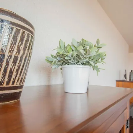Deichblick Apartment *